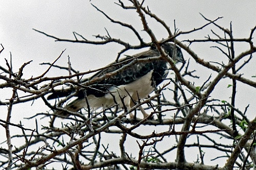 Kenia (395)